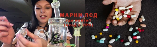 ГАЛЛЮЦИНОГЕННЫЕ ГРИБЫ Абаза