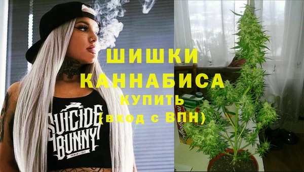 ГАЛЛЮЦИНОГЕННЫЕ ГРИБЫ Абаза