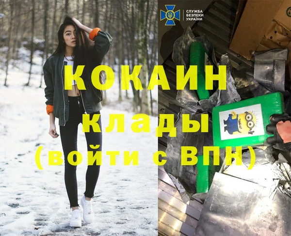 сатива Россошь