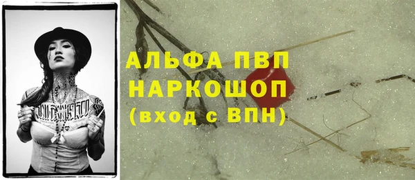 PSILOCYBIN Ростов