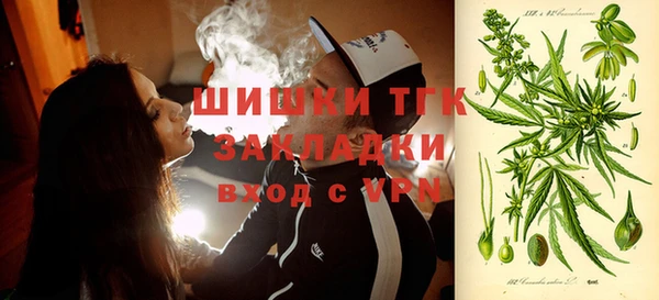 ГАЛЛЮЦИНОГЕННЫЕ ГРИБЫ Абаза