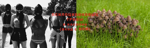 дурь Рославль